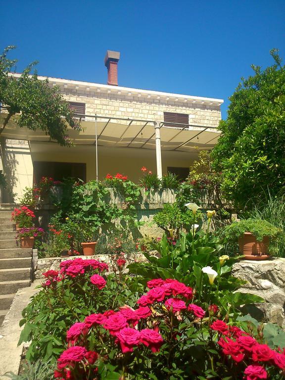 Antun Mozara Family House Bed & Breakfast Slano Bagian luar foto