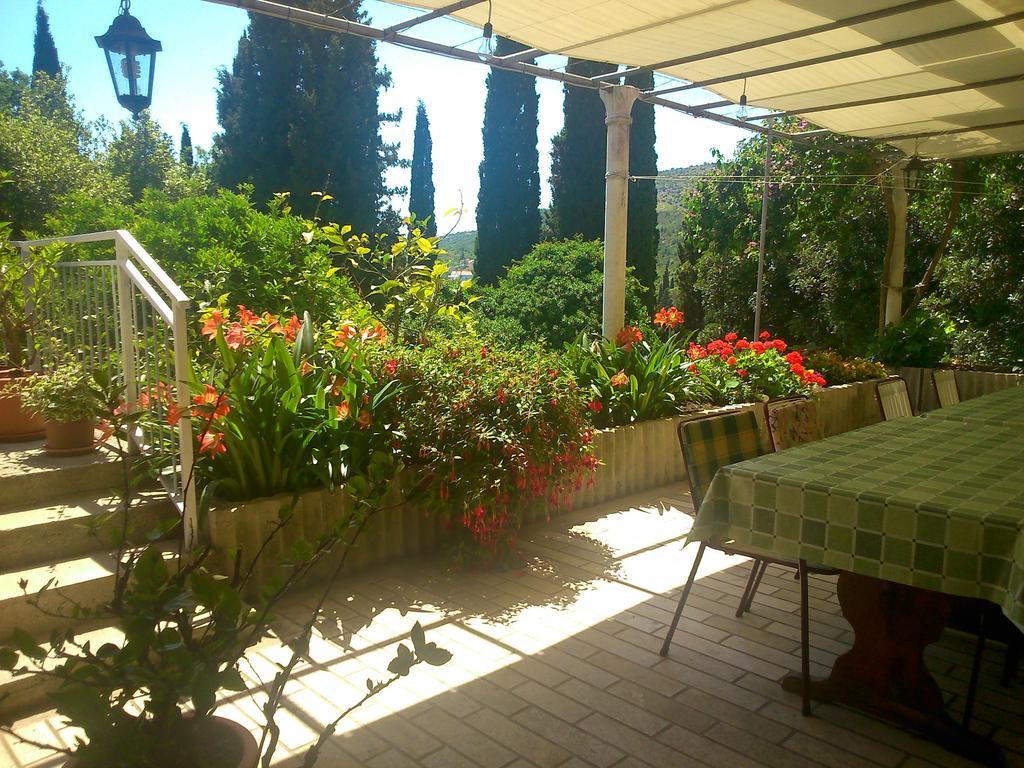 Antun Mozara Family House Bed & Breakfast Slano Bagian luar foto