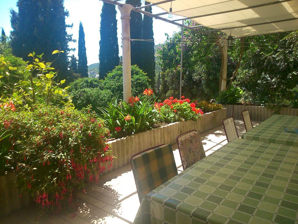 Antun Mozara Family House Bed & Breakfast Slano Bagian luar foto