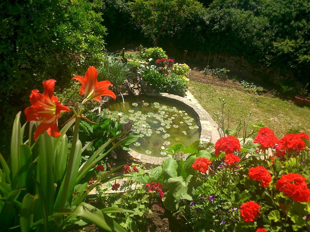 Antun Mozara Family House Bed & Breakfast Slano Bagian luar foto