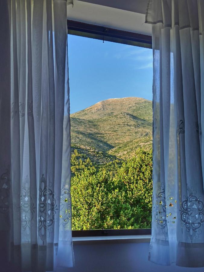 Antun Mozara Family House Bed & Breakfast Slano Bagian luar foto