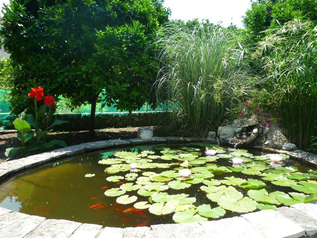 Antun Mozara Family House Bed & Breakfast Slano Bagian luar foto