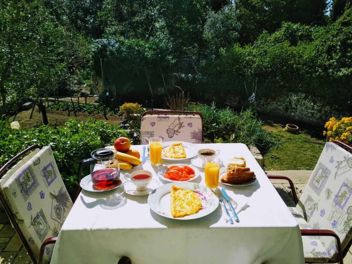Antun Mozara Family House Bed & Breakfast Slano Bagian luar foto