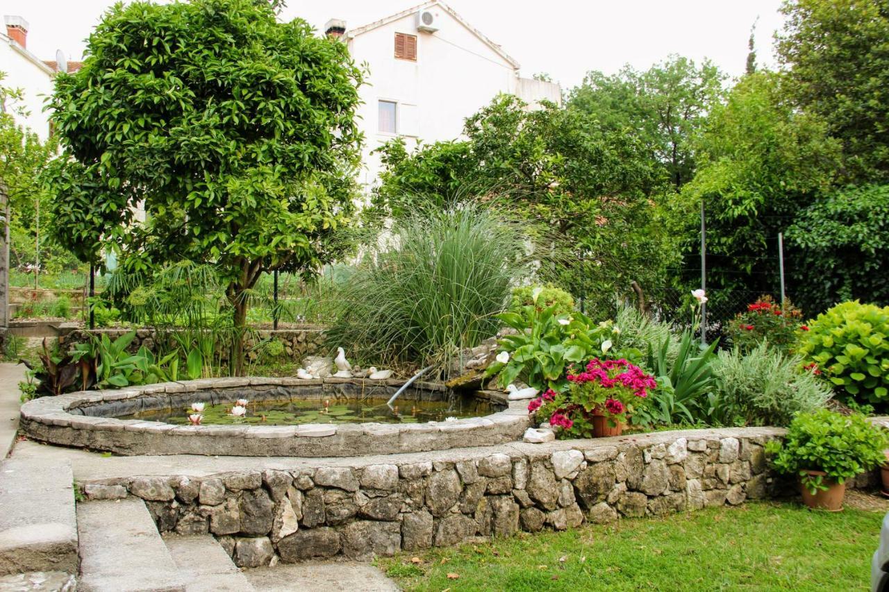 Antun Mozara Family House Bed & Breakfast Slano Bagian luar foto