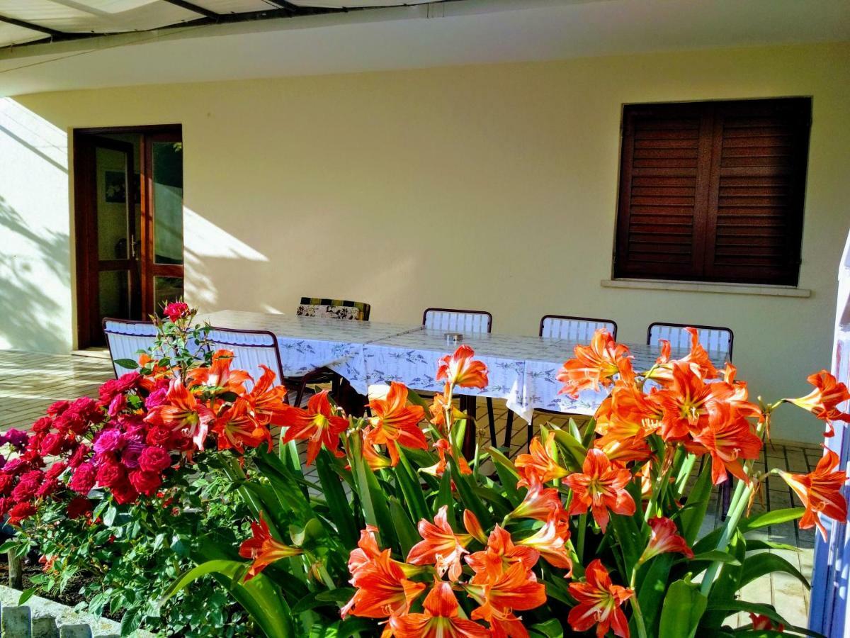 Antun Mozara Family House Bed & Breakfast Slano Bagian luar foto