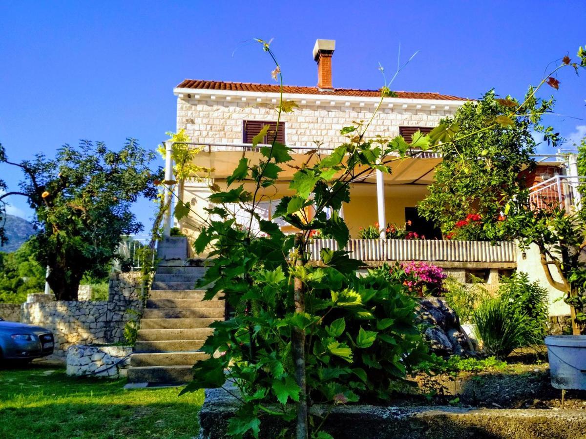 Antun Mozara Family House Bed & Breakfast Slano Bagian luar foto